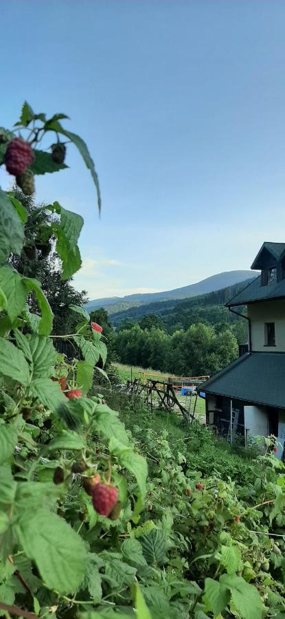 Willa Monte Neve Stronie Slaskie Exterior foto